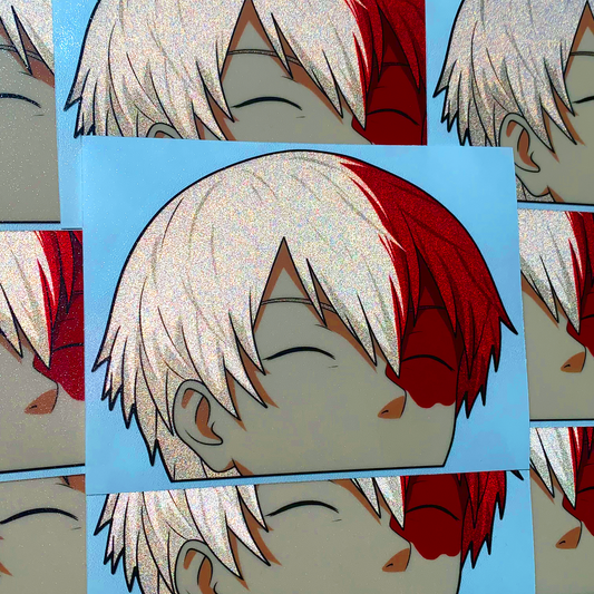 REFLECTIVE SHOTO PEEKER